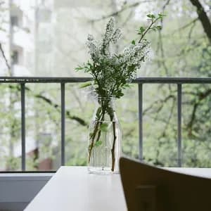 Set de fuentes para horno